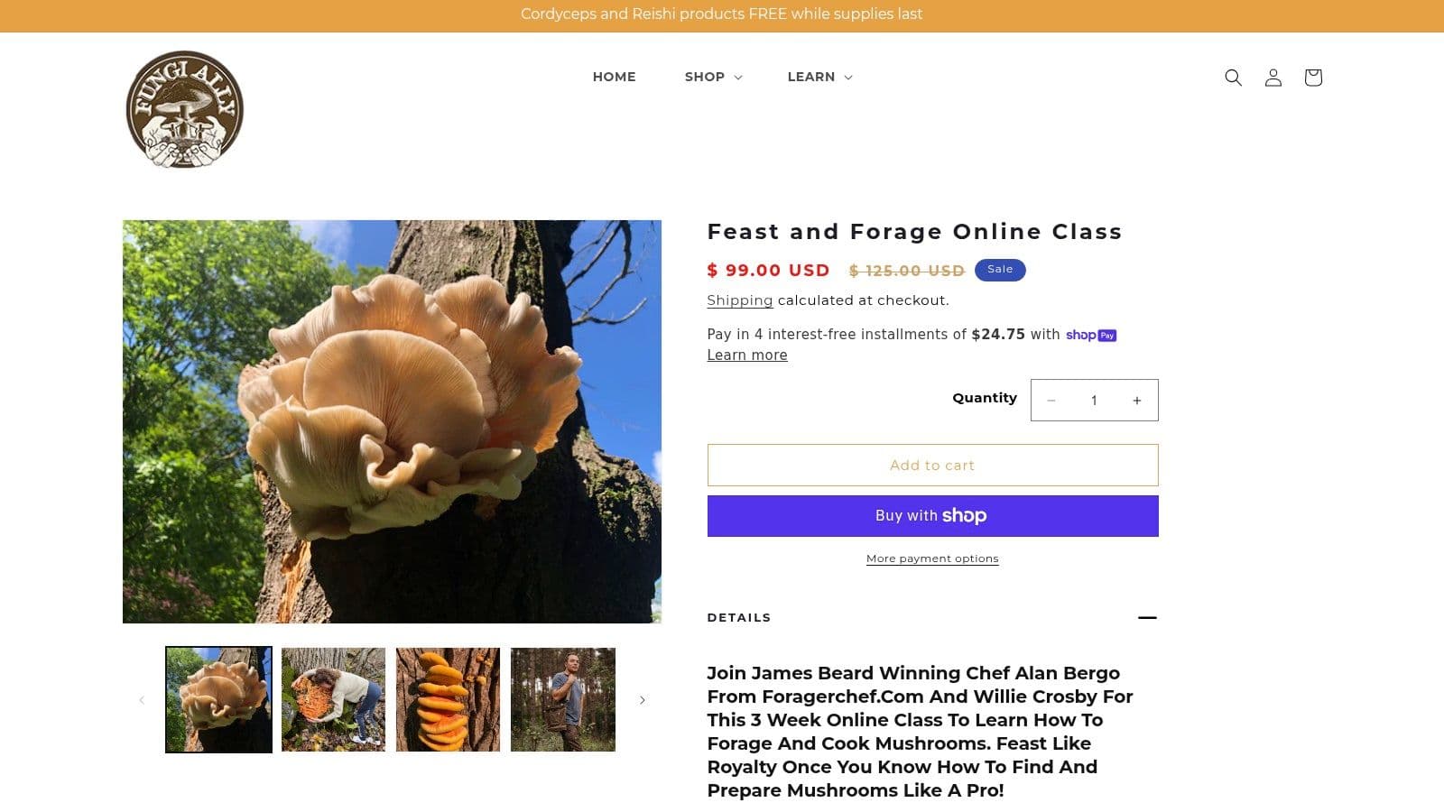 Fungi Ally – Feast and Forage Online Class