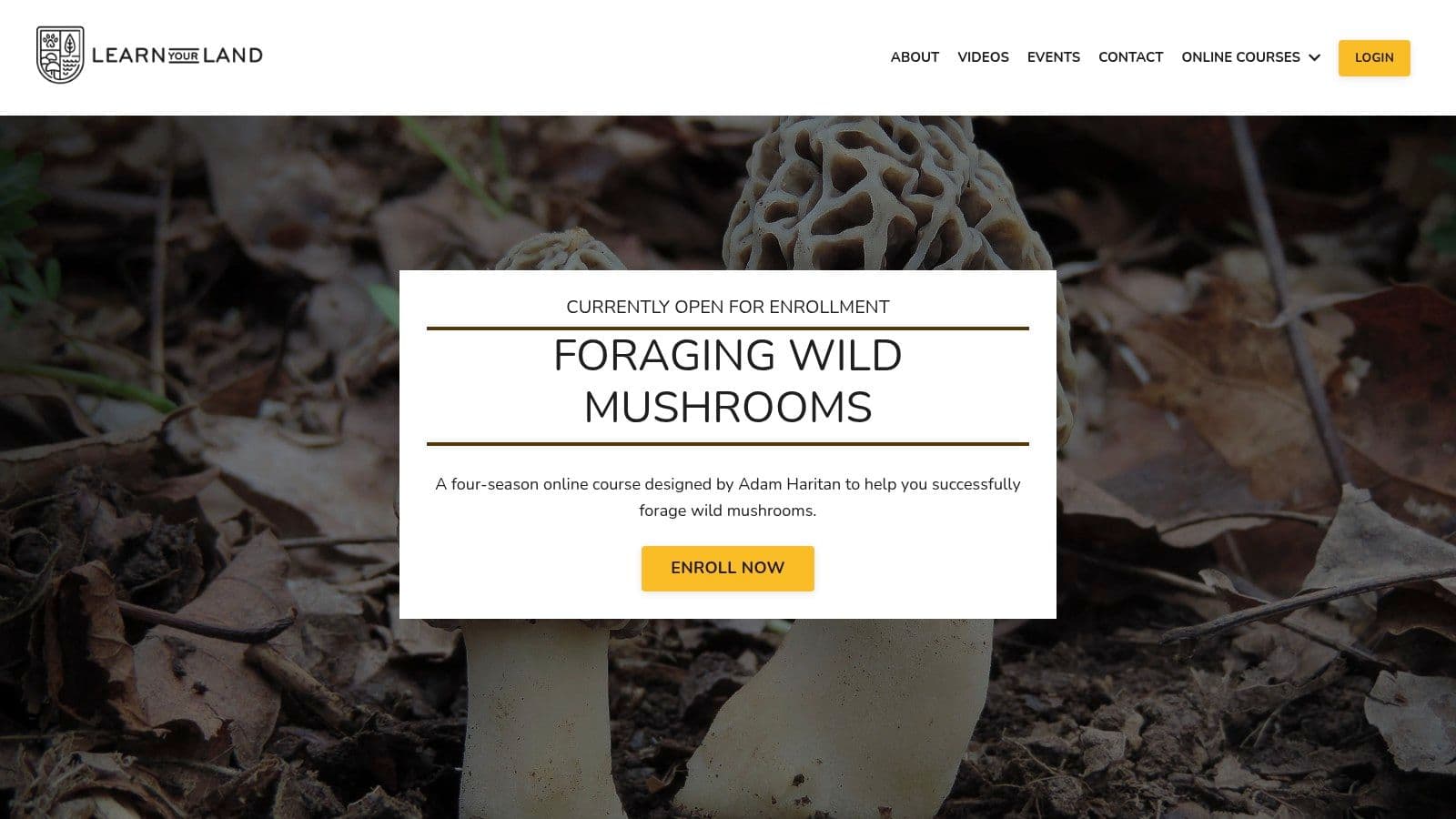 Learn Your Land – Foraging Wild Mushrooms